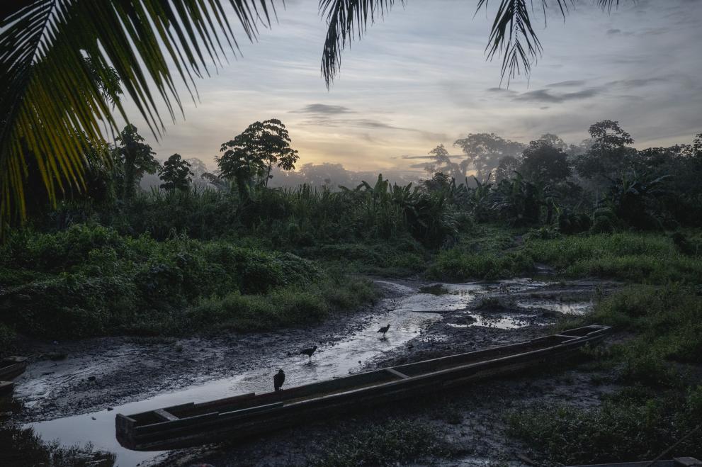 The Darien Gap remains one of the most dangerous migration routes globally.
